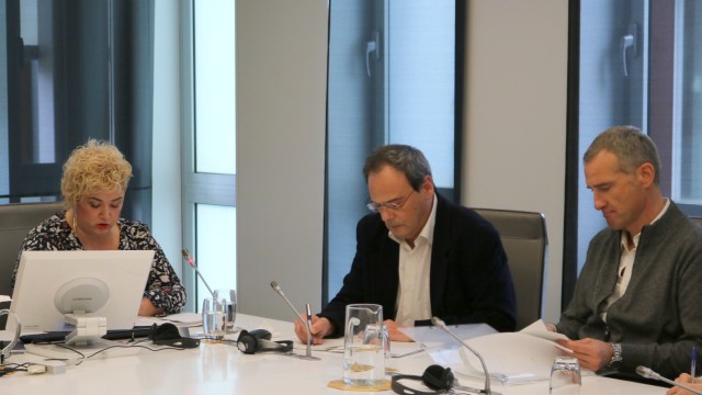 Maite Peña en Juntas Generales
